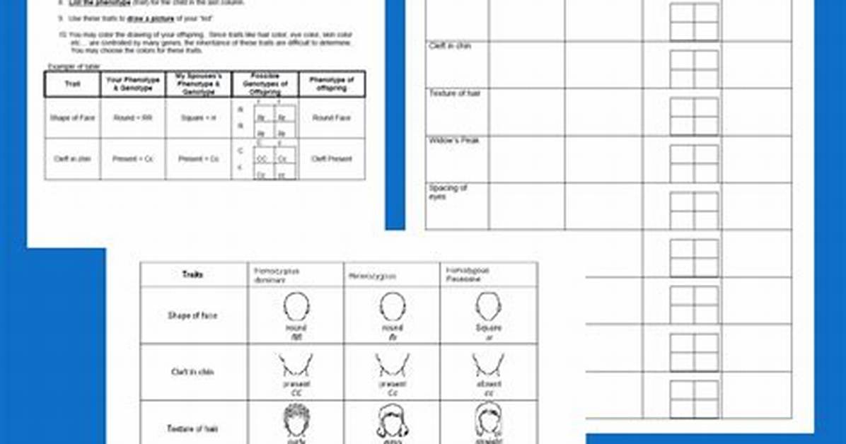 What Determines the Number of Phenotypes for a Given Trait