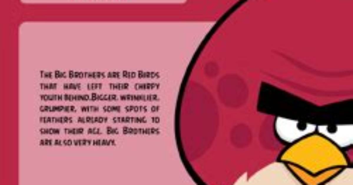 What Did Terence Do in Angry Birds Movie?