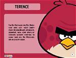 What Did Terence Do in Angry Birds Movie?
