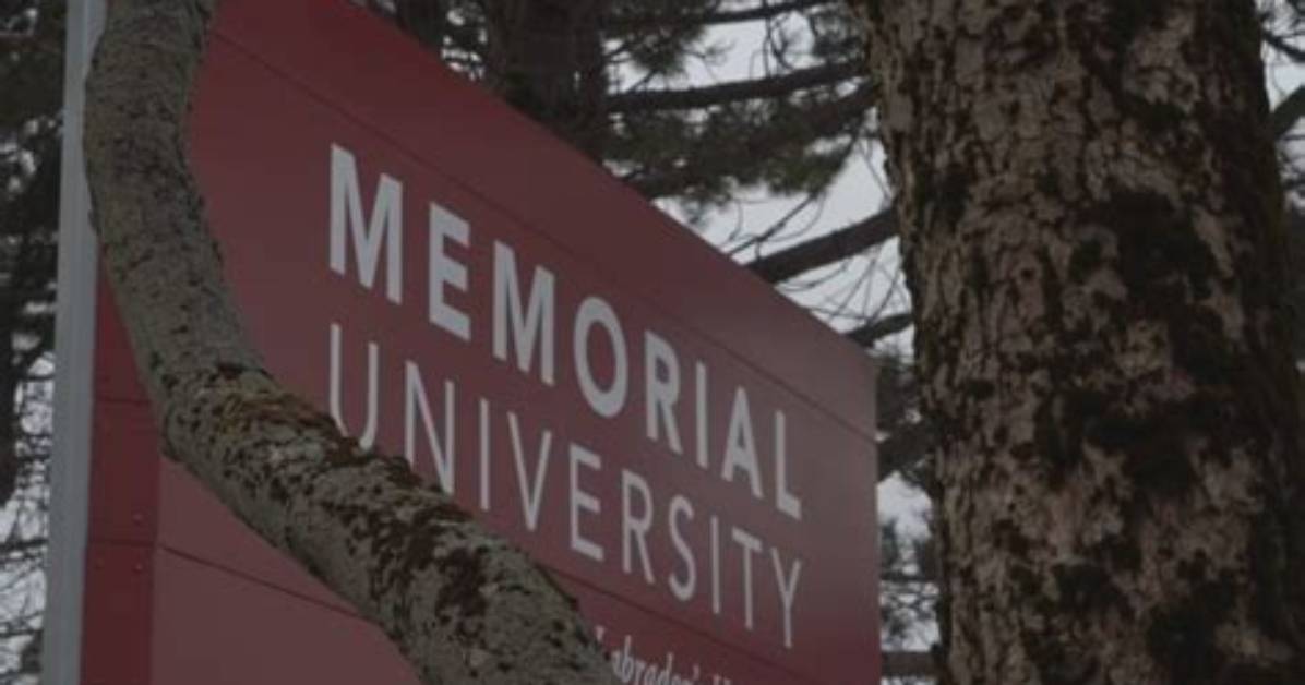 What Did Vianne Timmons Do Memorial University President Issues Apology Placed On