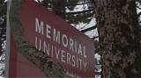 What Did Vianne Timmons Do? Memorial University President Issues Apology, Placed on Paid Leave