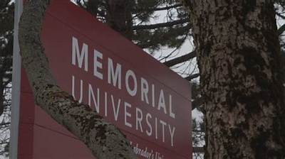 What Did Vianne Timmons Do? Memorial University President Issues Apology, Placed on Paid Leave