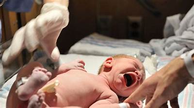 What Do Babies Feel When Born?