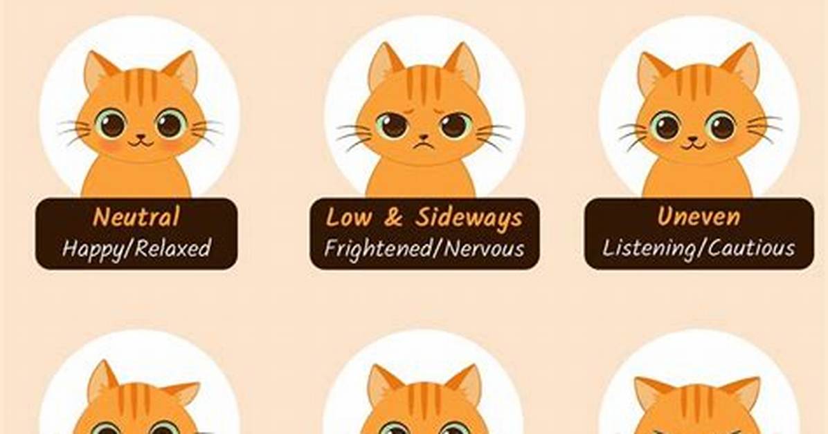 What Do Cat Ears Symbolize?