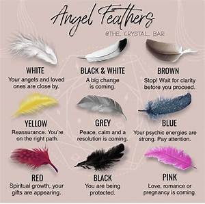 What Do Colors of Feathers Mean?