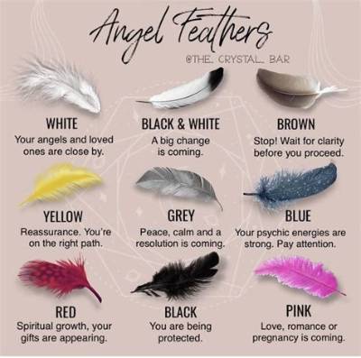 What Do Colors of Feathers Mean?