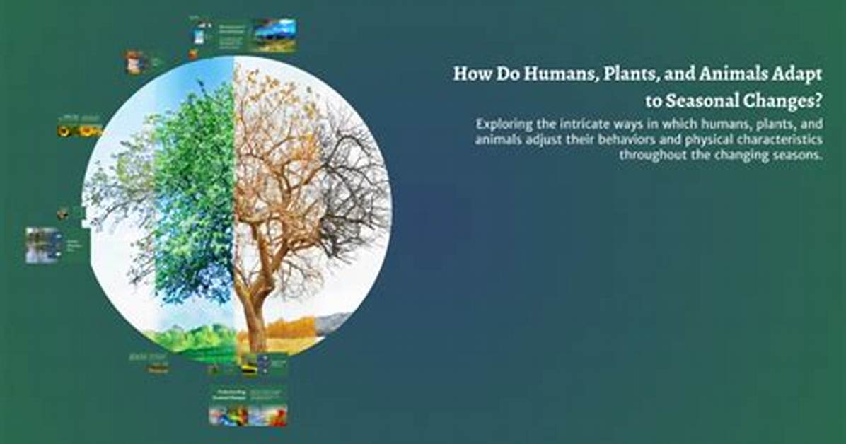 What Do Humans and Plants Have in Common