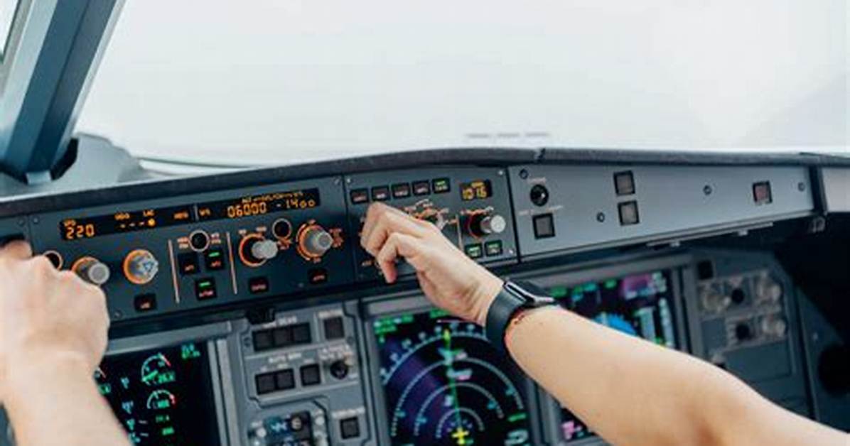 What Do Pilots Do During Autopilot?