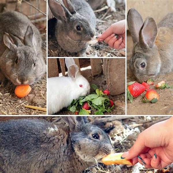 What Do Rabbits Like to Eat and Drink?