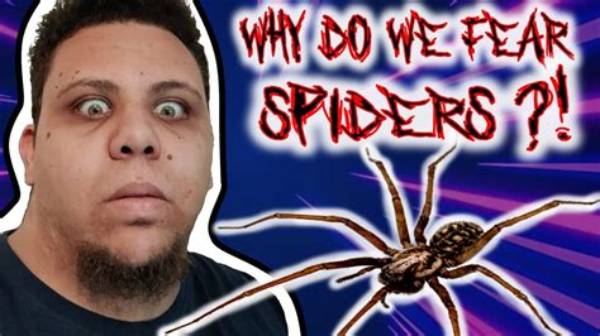 What Do Spiders Fear Most?