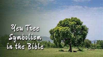 What Do Trees Symbolize in Bible?