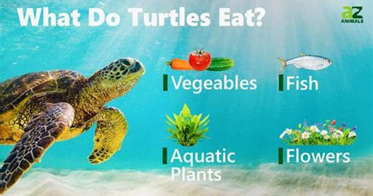What Do Turtles Eat in Ark