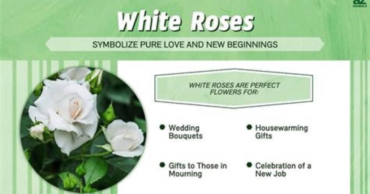 What Do White Flowers Mean?