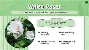 What Do White Flowers Mean?