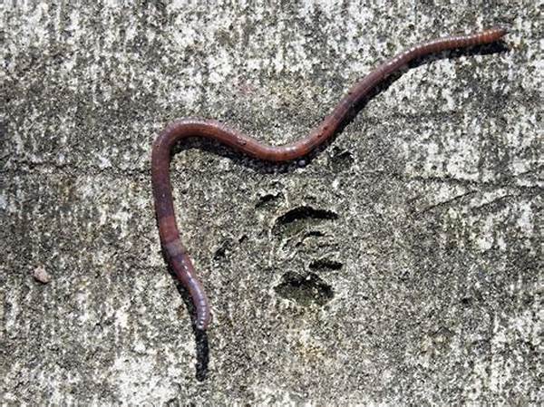 What Do Worms Hate?