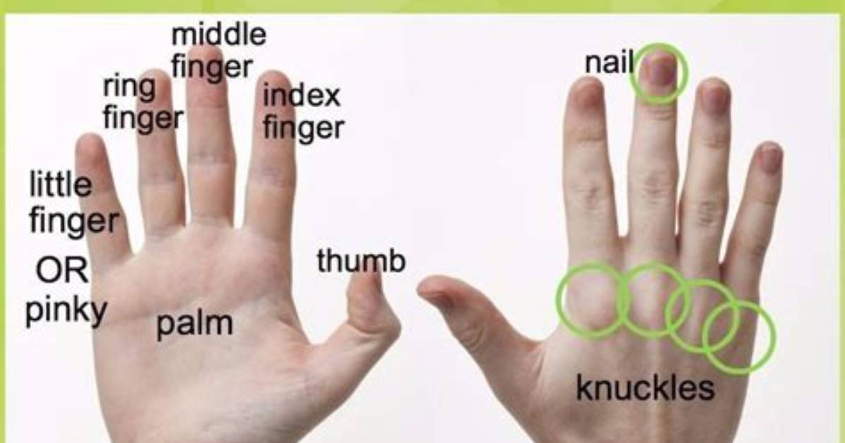 What Do You Call Each of the Member of a Set?