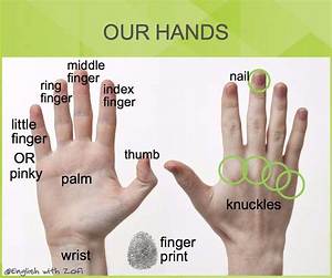 What Do You Call Each of the Member of a Set?