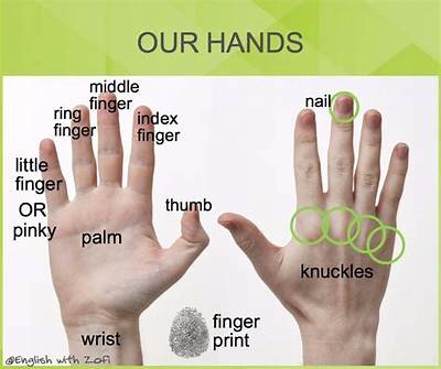 What Do You Call Each of the Member of a Set?