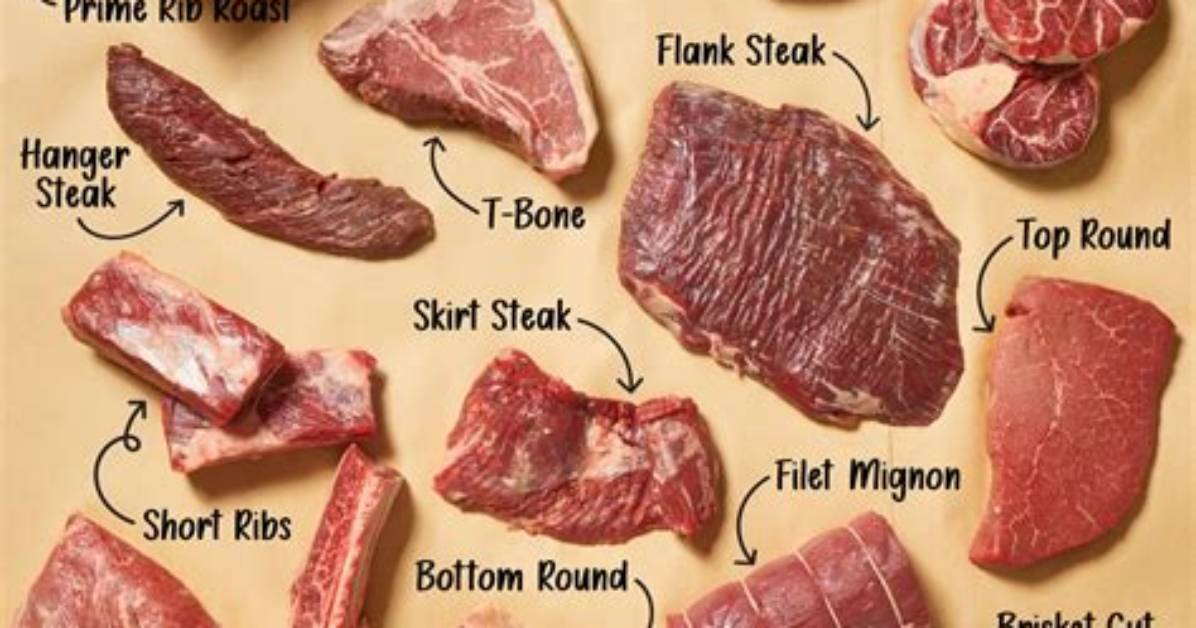 What Do You Call the Meat of Horse?