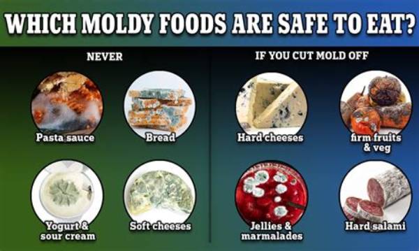 What Do You Do with a Moldy Wall?
