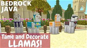 What Do You Put on Llamas in Minecraft