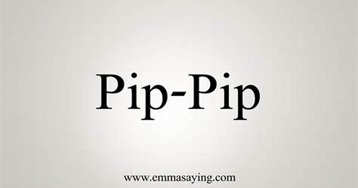 What Do You Say in a Pip Meeting?