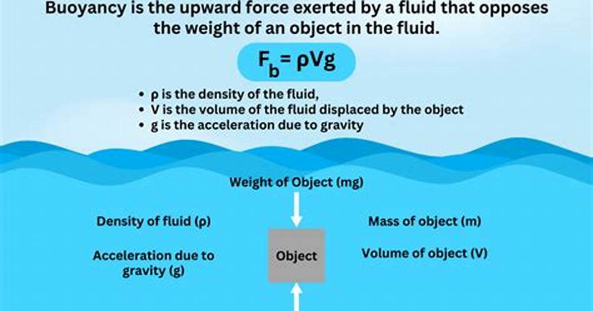 What Does 100N Buoyancy Mean?