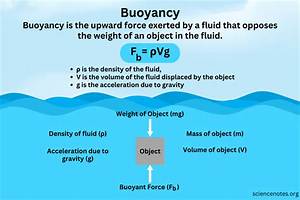 What Does 100N Buoyancy Mean?