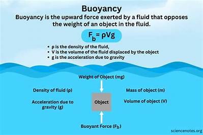 What Does 100N Buoyancy Mean?