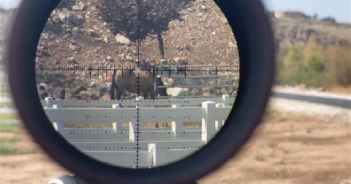 What Does 15X Zoom Mean?