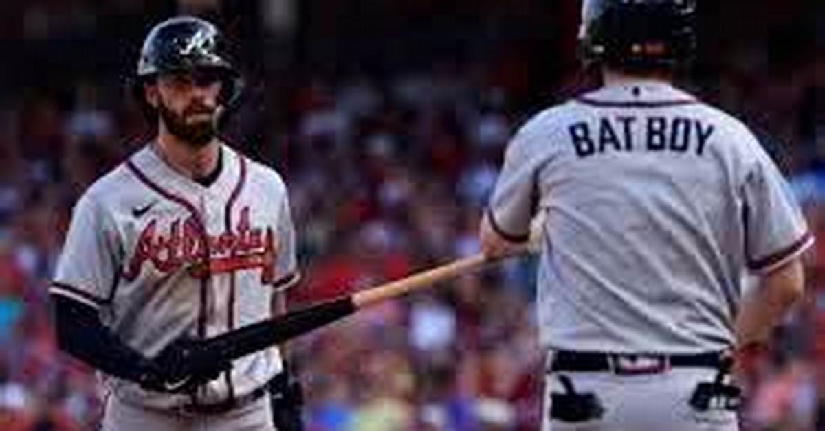 What Does a Batboy Do?