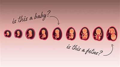 What Does a Bicentennial Baby Mean?