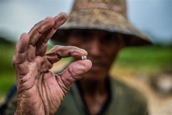 What Does a Blood Diamond?
