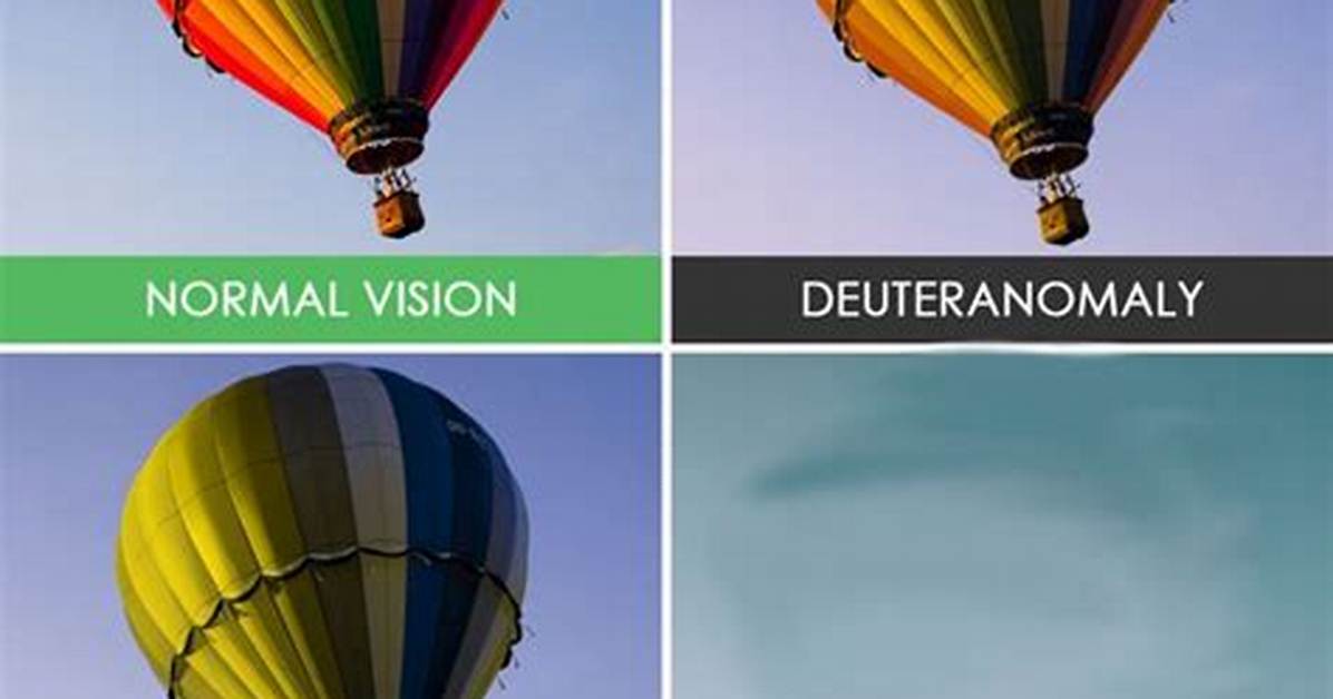 What Does a Completely Blind Person See?