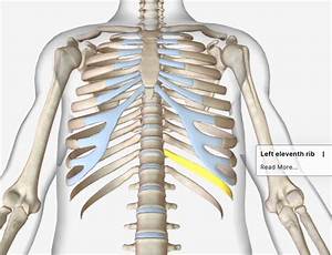 What Does a Displaced Rib Feel Like?
