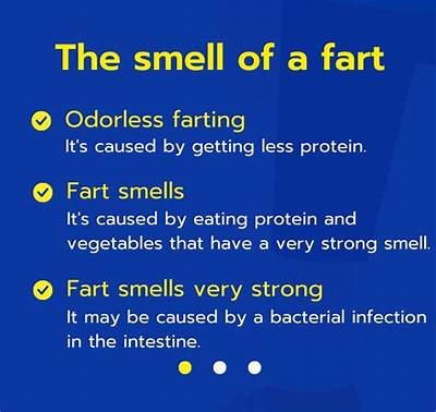 What Does a Fart Smell Like?