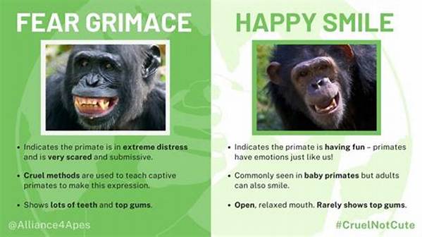 What Does a Smile Mean to Monkeys?