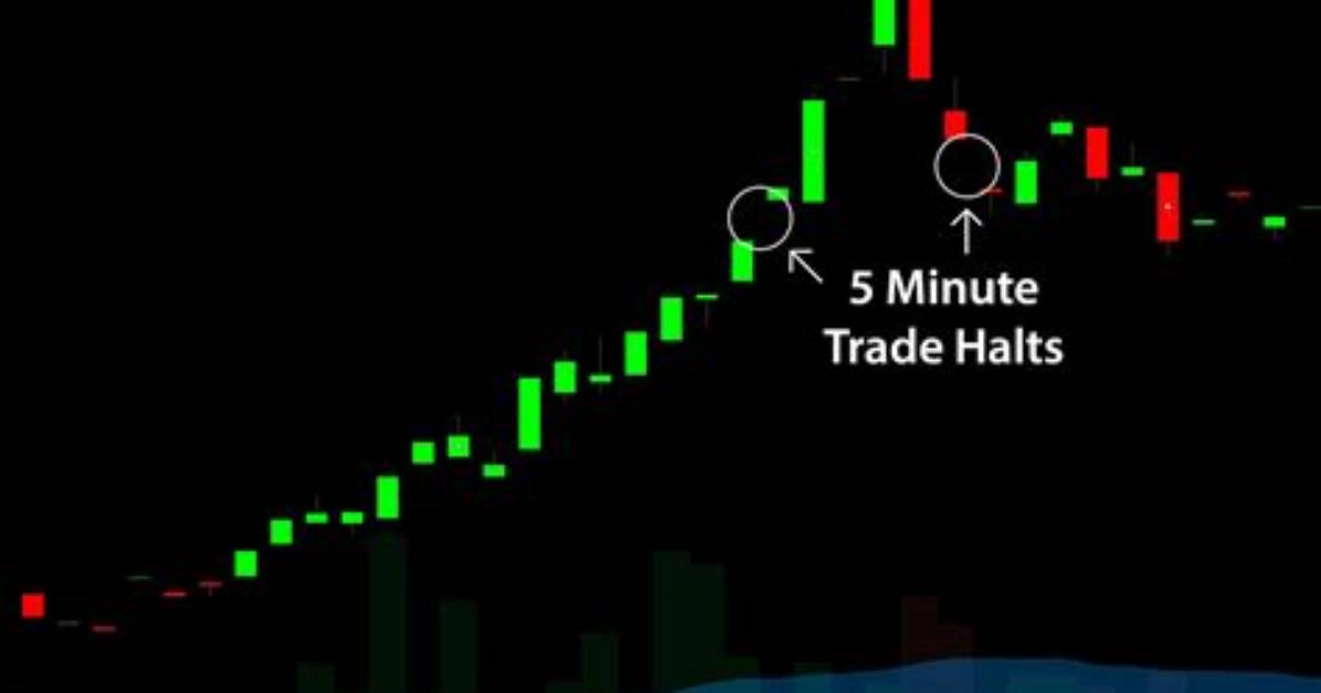 What Does a Trading Halt Mean?
