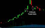 What Does a Trading Halt Mean?
