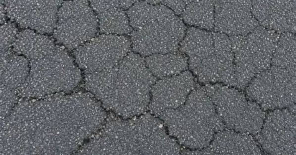 What Does Alligator Mean in Asphalt?