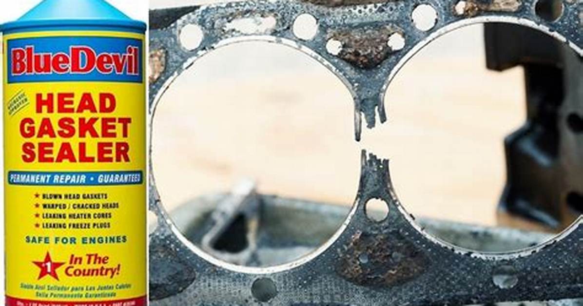 What Does Bluedevil Head Gasket Sealer Do?