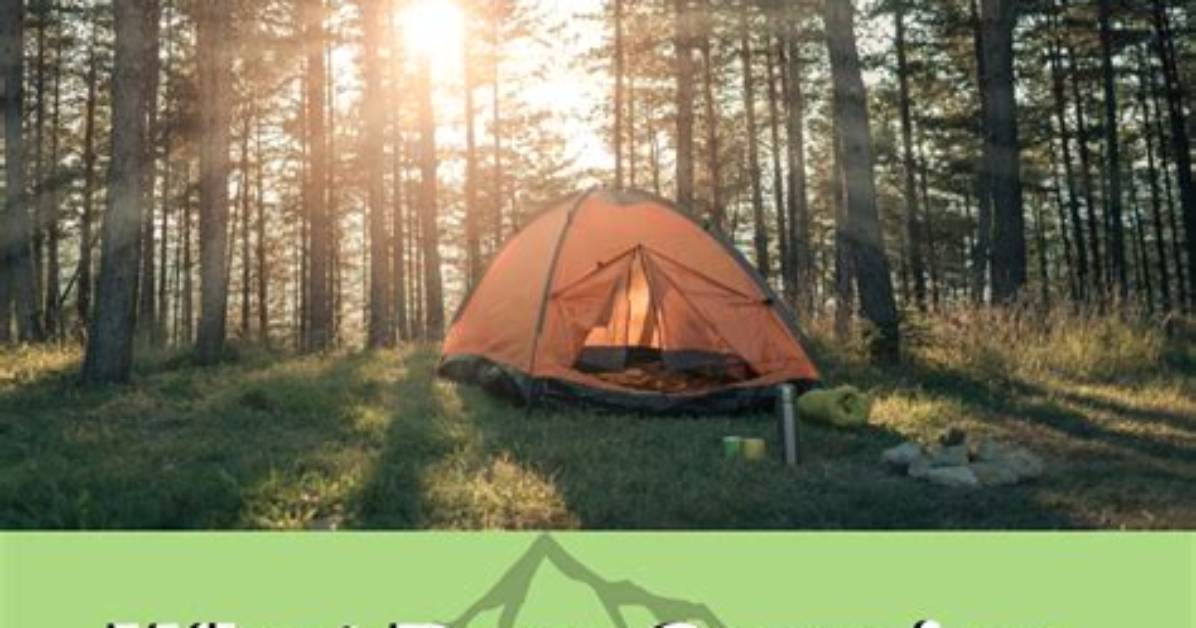 What Does Camping Mean on Tiktok? What Is Camping Code for? Meaning and Memes Explained