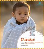 What Does Cherokee Mean in English