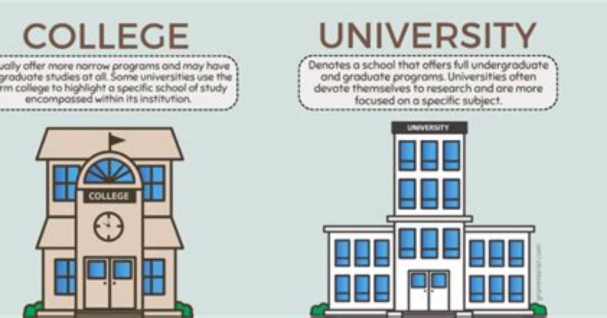 What Does College Mean?