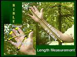 What Does Cubit Mean in the Bible?