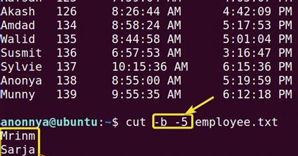 What Does Cut Command Do in Linux?