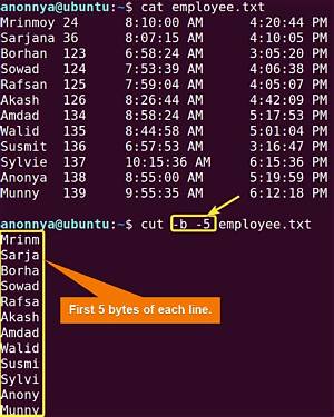 What Does Cut Command Do in Linux?