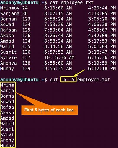 What Does Cut Command Do in Linux?