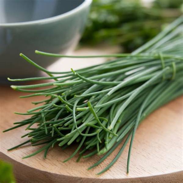 What Does Fresh Chives Look Like?