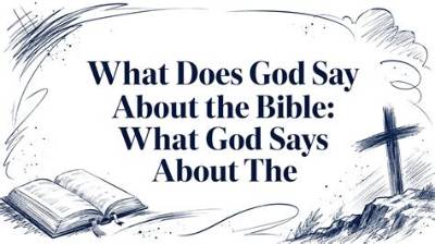 What Does God Say About the Birds?